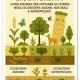 Biodiversità come risorsa per mitigare gli stress negli ecosistemi agrari, naturali e antropizzati