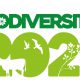 XIII Convegno Nazionale sulla Biodiversità, 7-9 settembre 2021